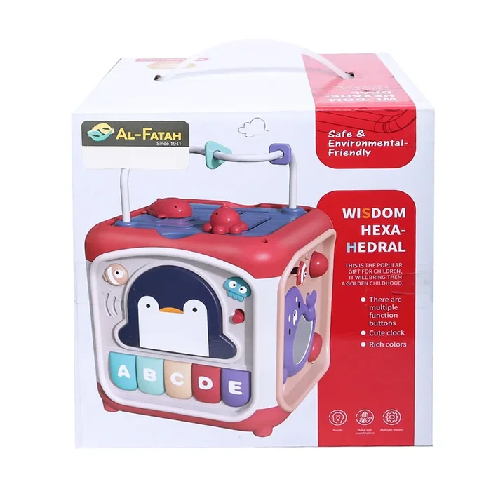 668-108 Activity Wisdom Box Ir (+18M)