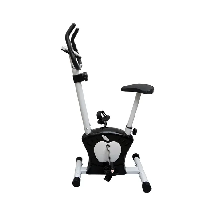 Exercise Magnetic Cycle 221 Pc