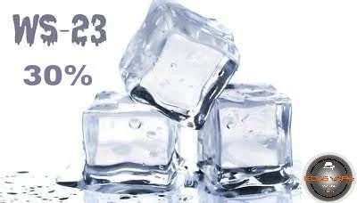 WS23 ICE (WS 23 – 30%) Flavor BVC